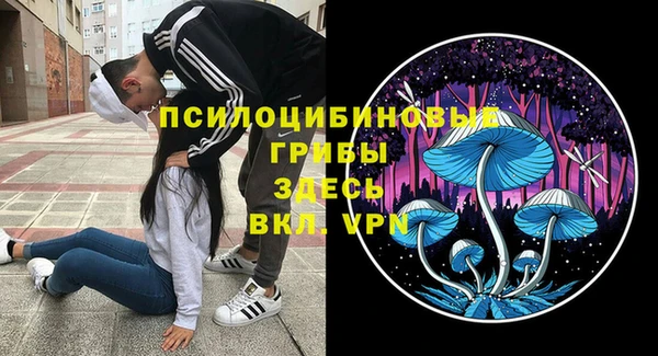 марки lsd Богородицк