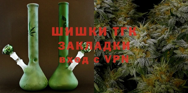 МДПВ Богородск