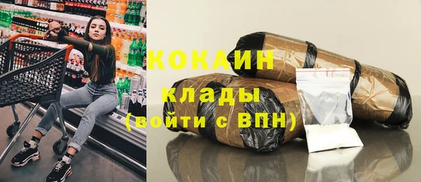 МДПВ Богородск