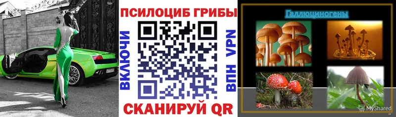 Псилоцибиновые грибы Magic Shrooms  Красноярск 